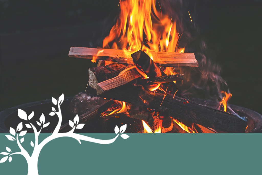Proactive Fire Safety