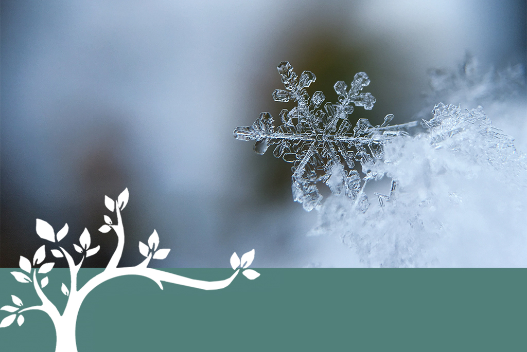Winter Weather Considerations